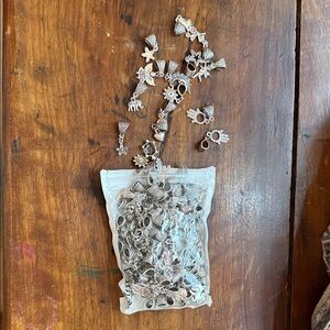 Silver Charm Collection